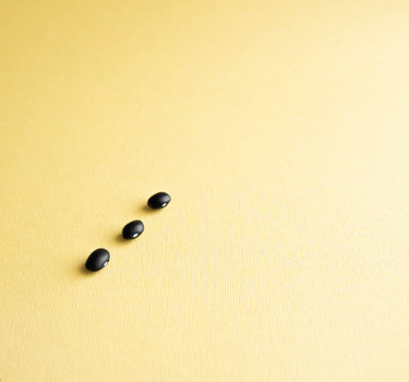 Hopi Black Dwarf French Bean